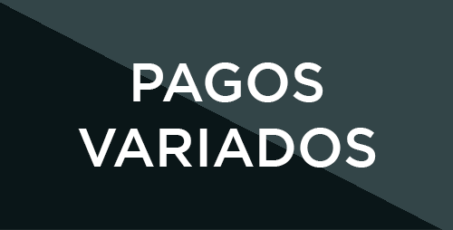 Pagos en Línea